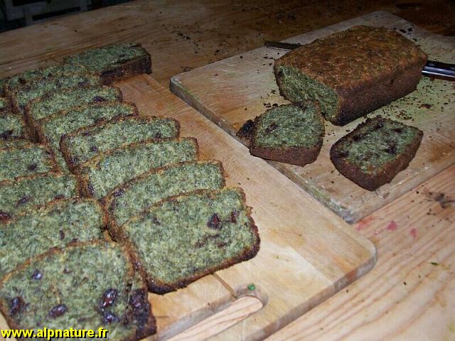 22_cake chocolat ortie.jpg